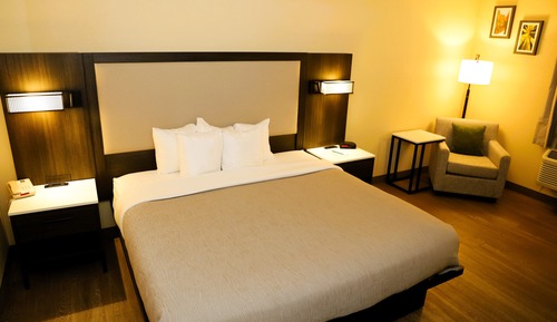 Standard Room, 1 King Bed, Non Smoking