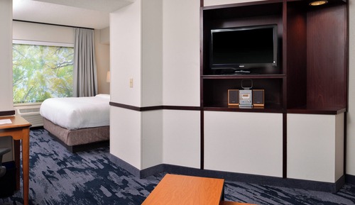 Suite, 1 King Bed with Sofa bed