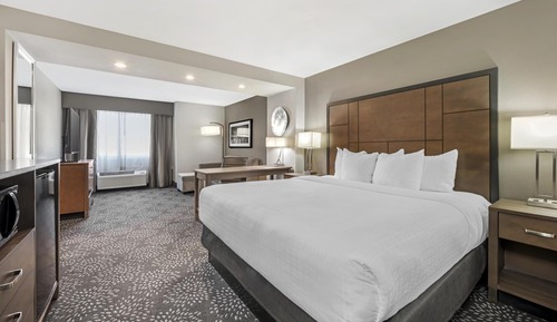 Standard Room, 1 King Bed, Non Smoking, Refrigerator & Microwave (Larger Room;with Sofabed)