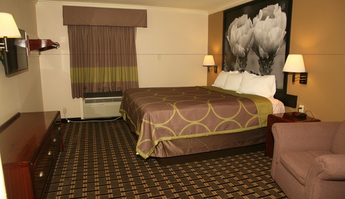 Room, 1 King Bed, Accessible, Non Smoking (Mobility Accessible)