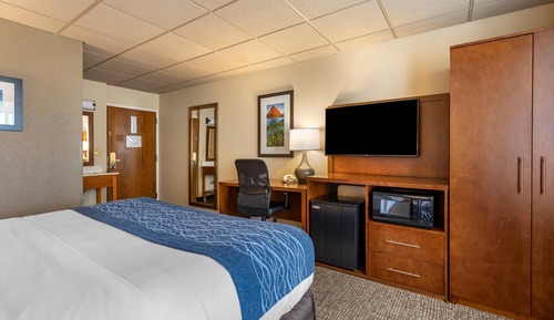 Room, 1 King Bed, Non Smoking