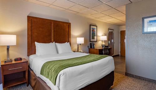 Standard Room, 1 Queen Bed, Accessible, Non Smoking (Roll-In Shower)