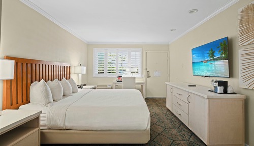 Standard Room, 1 King Bed, Accessible (Roll In Shower)