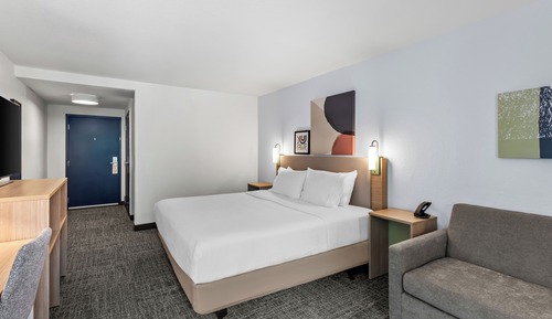 Room, 1 King Bed, Accessible (Roll-In Shower)