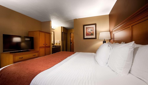 Standard Room, 1 King Bed, Non Smoking, Kitchenette