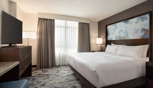 Suite One King Bed