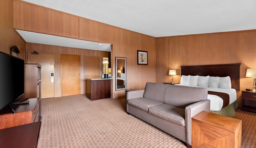 Standard Room, 1 King Bed, Non Smoking, Balcony (with Single Sofabed;Larger Room)