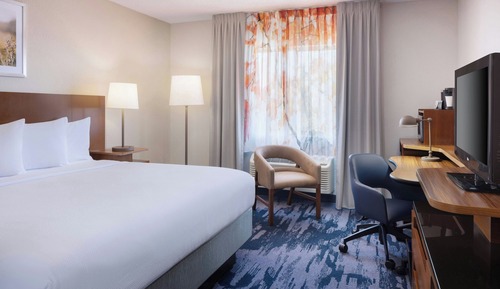 Suite, 1 King Bed with Sofa bed