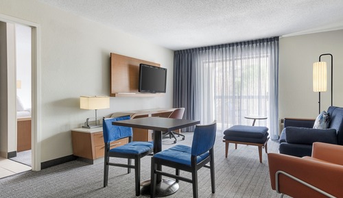 Suite, 1 King Bed with Sofa bed