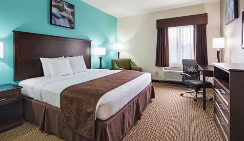 Standard Room, 1 King Bed, Accessible, Non Smoking (Walk-in Shower)