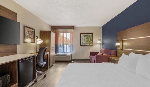 Standard Room, 1 King Bed with Sofa bed, Non Smoking, Refrigerator & Microwave (with Sofabed)