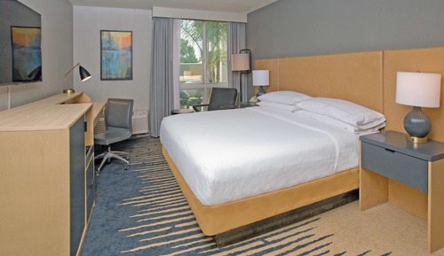 Room, 1 King Bed