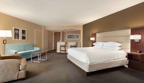 Studio Suite, 1 King Bed