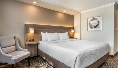 Standard Room, 1 King Bed, Non Smoking