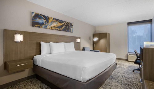 Standard Room, 1 King Bed, Non Smoking, Refrigerator & Microwave