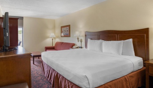 Standard Room, 1 King Bed, Non Smoking, Refrigerator (with Sofabed)