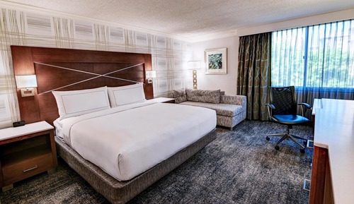 Room, 1 King Bed, Accessible