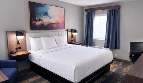 Room, 1 King Bed, Non Smoking