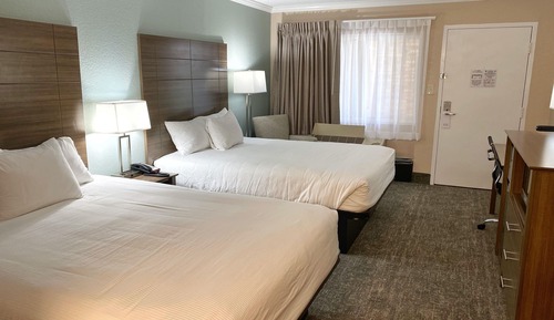Premium Room, 2 Queen Beds