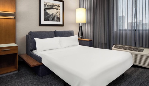Room, 1 King Bed with Sofa bed