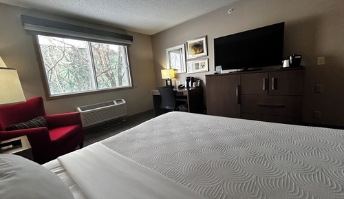 Room, 1 King Bed, Non Smoking