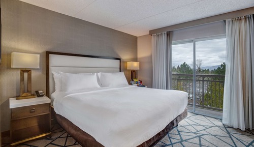 Suite, 1 Queen Bed, Accessible (Mobility & Hearing, Roll-in Shower)