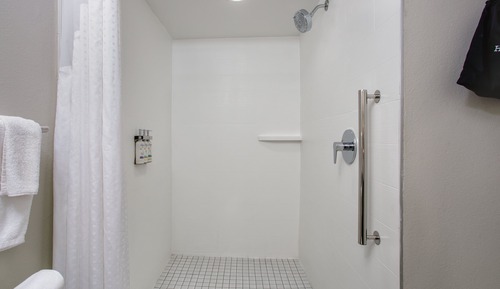 Standard Room, 1 King Bed, Accessible (Communications, Mobil, Roll-In Shower)