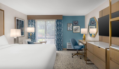 Room, 1 King Bed
