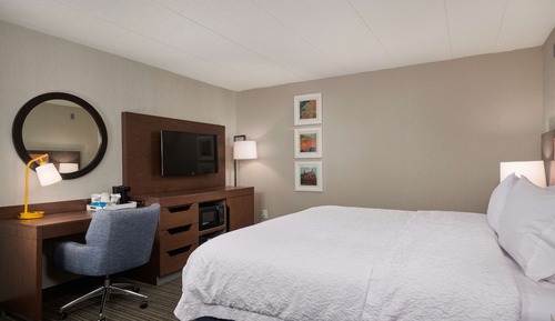 Room, 1 King Bed, Microwave