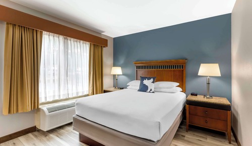Standard Room, 1 Queen Bed, Accessible, Non Smoking