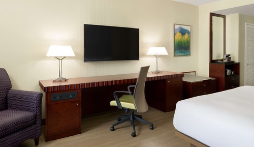 Room, 1 King Bed, Accessible, City View (Mobility & Hearing, Roll-in Shower)