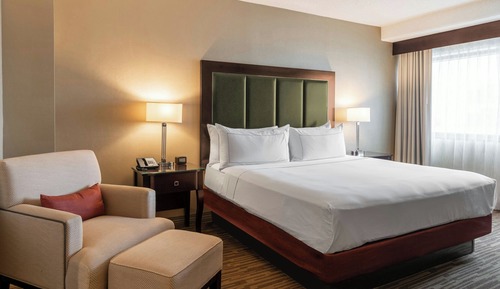 Standard Suite, 1 King Bed with Sofa bed, City View (Mobility/Hearing Access, Roll-In Shwr)