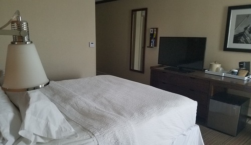 Room, 1 Queen Bed