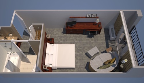 Deluxe Room, 1 King Bed with Sofa bed (Mobility Accessible, Roll-in Shower)
