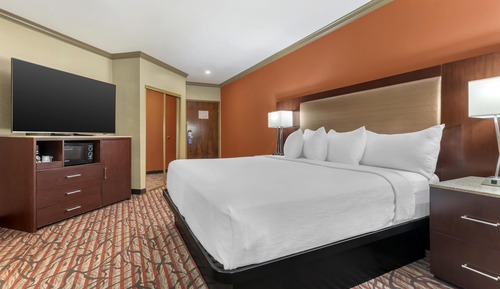 Standard Room, 1 King Bed, Non Smoking, Refrigerator & Microwave (Larger Room)