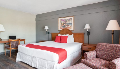 Room, 1 King Bed