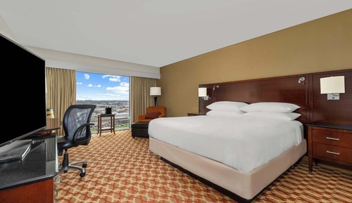 Room, 1 King Bed