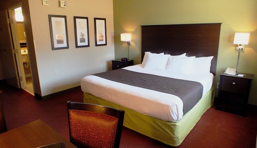 Room, 1 King Bed, Accessible, Non Smoking
