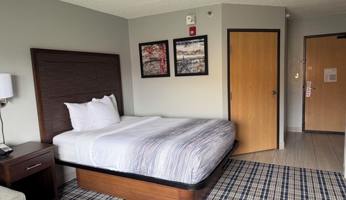 Room, 1 Queen Bed, Non Smoking