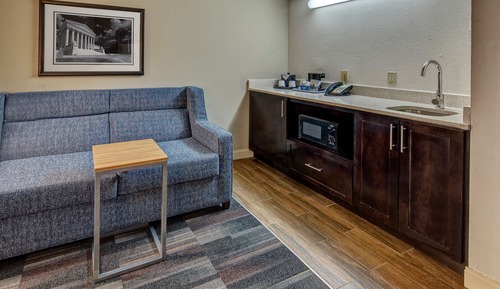 Suite, 1 King Bed with Sofa bed, Microwave