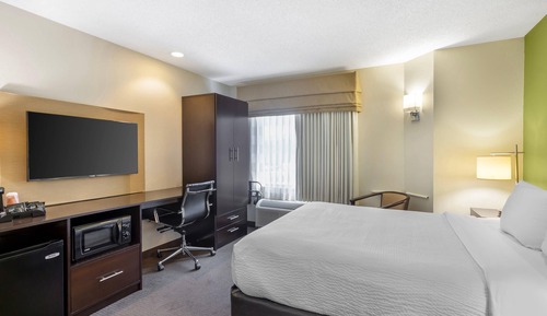 Room, 1 Queen Bed, Non Smoking