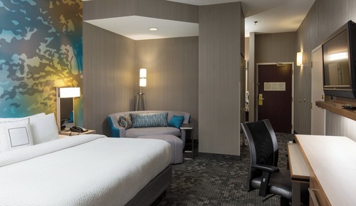 Room, 1 King Bed with Sofa bed
