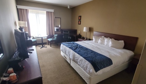 Room, 1 King Bed, Non Smoking