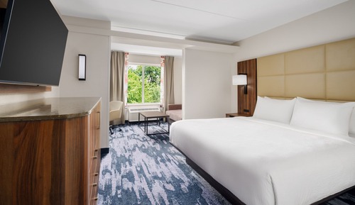 Suite, 1 King Bed with Sofa bed