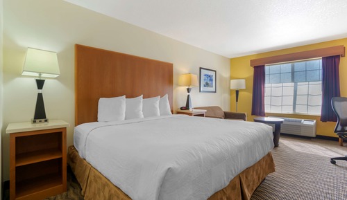 Deluxe Room, 1 King Bed, Non Smoking, Refrigerator & Microwave
