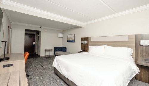 Room, 1 King Bed, Accessible (Roll-In Shower)