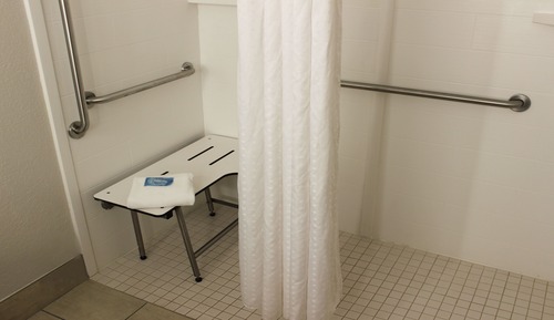 Standard Room, 1 King Bed, Roll-in Shower (Communications Accessible)