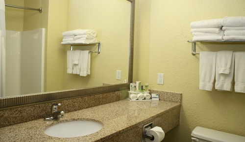 Suite, 1 King Bed with Sofa bed