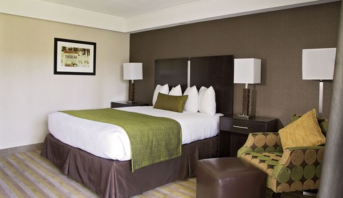 Room, 1 Queen Bed
