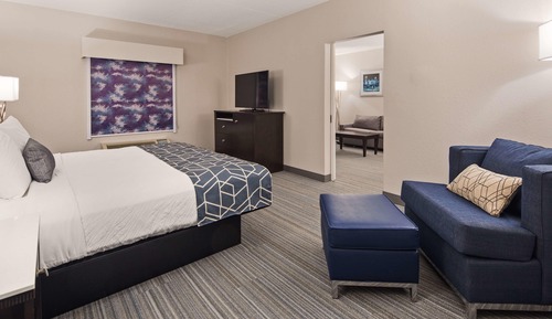 Room, 1 King Bed, Non Smoking, Kitchenette (Shower Only;with Sofabed)